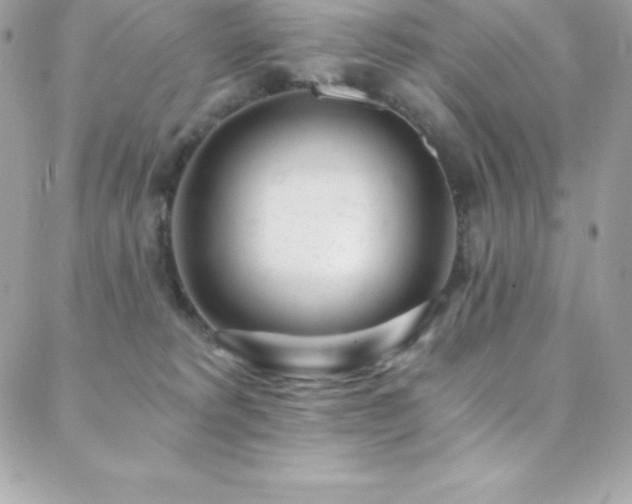 X0000088840229200706071428