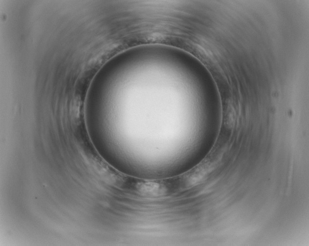 X0000088840230200706071428