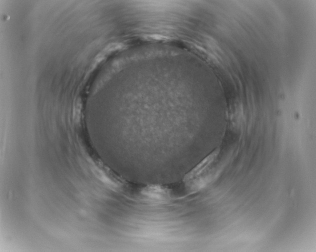 X0000088840231200706071428