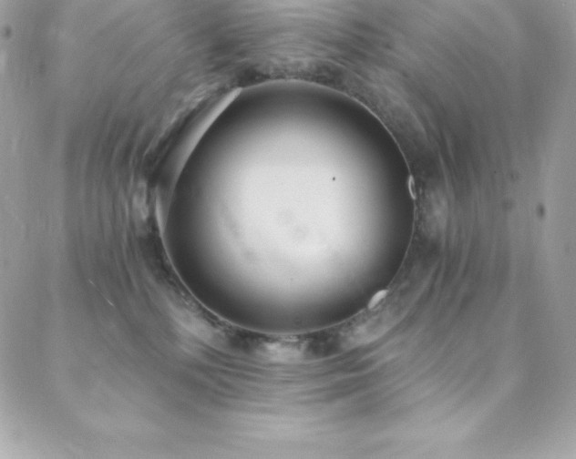 X0000088840232200706071428