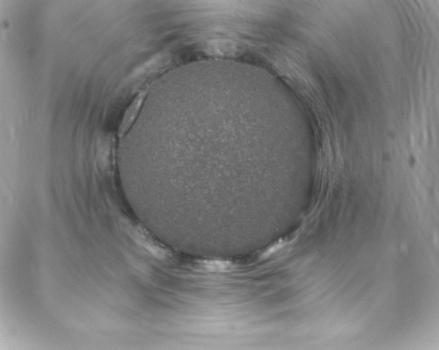 X0000088840233200706071428