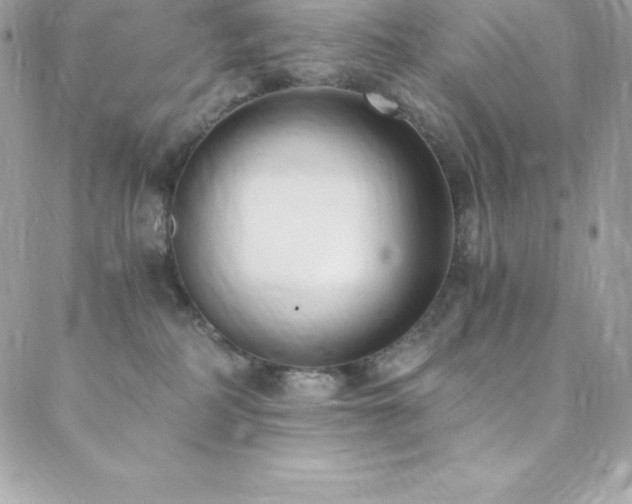 X0000088840234200706071428