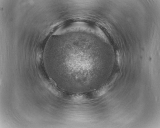 X0000088840235200706071428