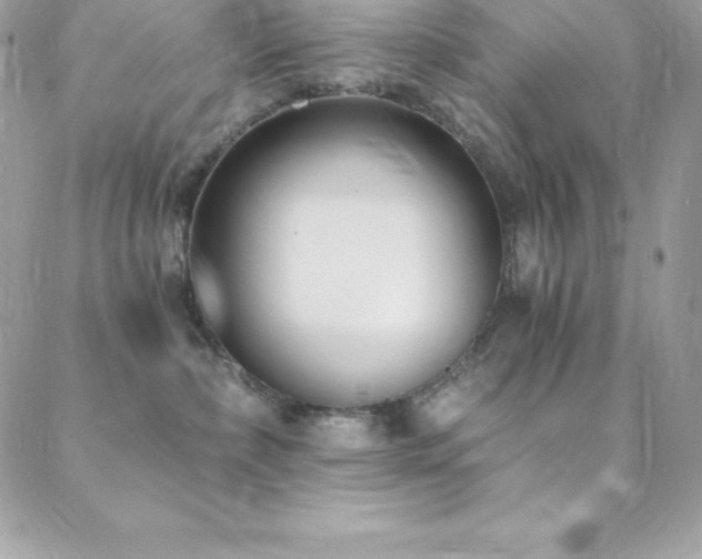 X0000088840236200706071428