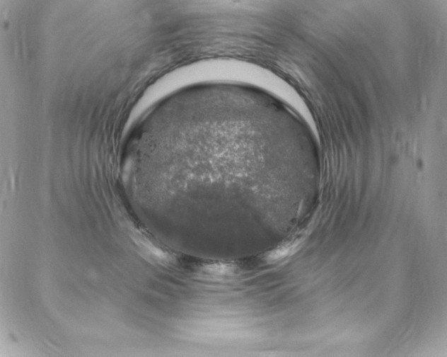 X0000088840237200706071428