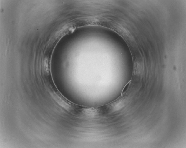 X0000088840238200706071428