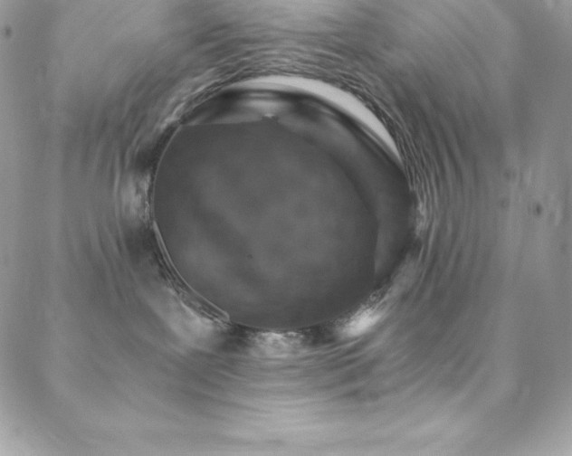 X0000088840239200706071428