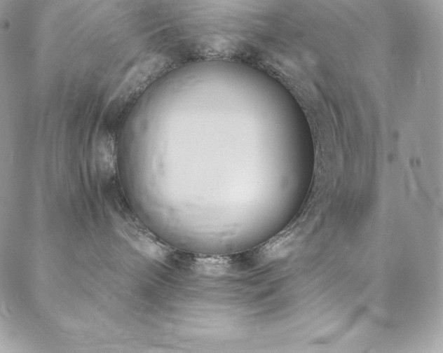 X0000088840240200706071428