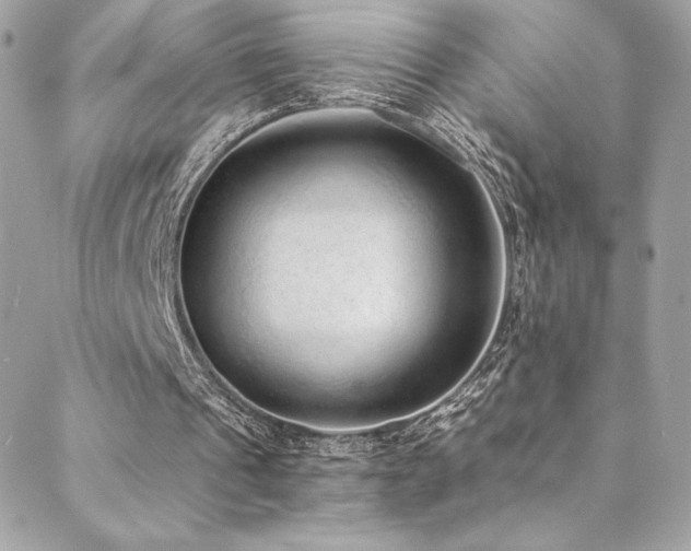 X0000088840241200706071427