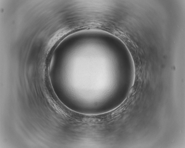 X0000088840242200706071427