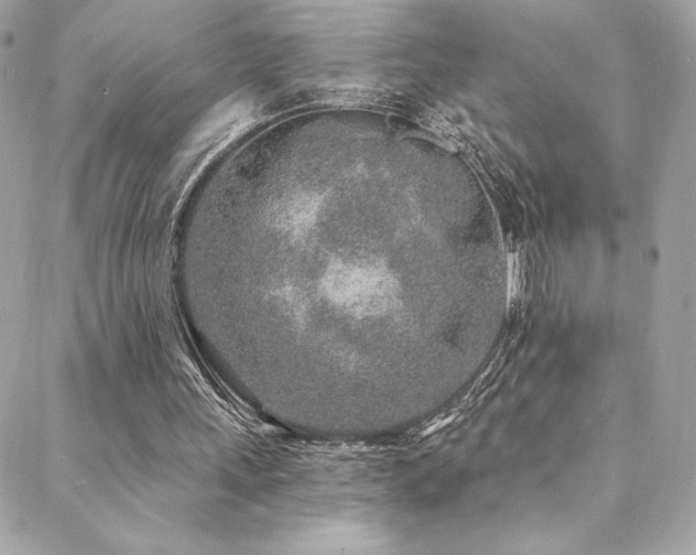 X0000088840243200706071427