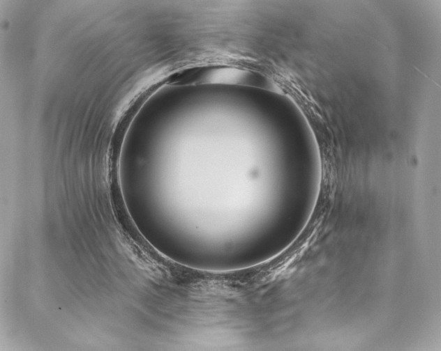 X0000088840244200706071427