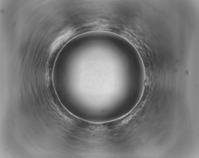 X0000088840245200706071427