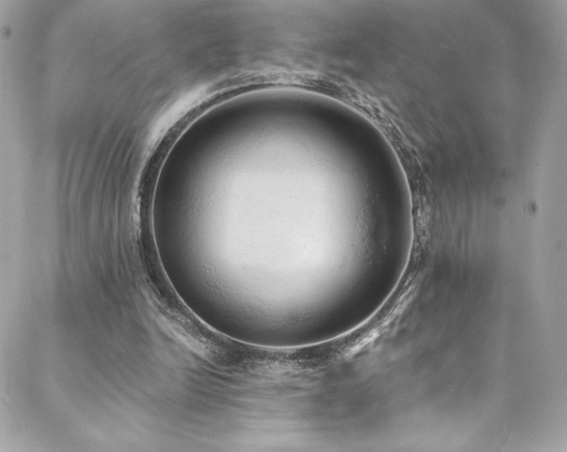 X0000088840246200706071427