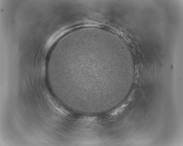 X0000088840247200706071427