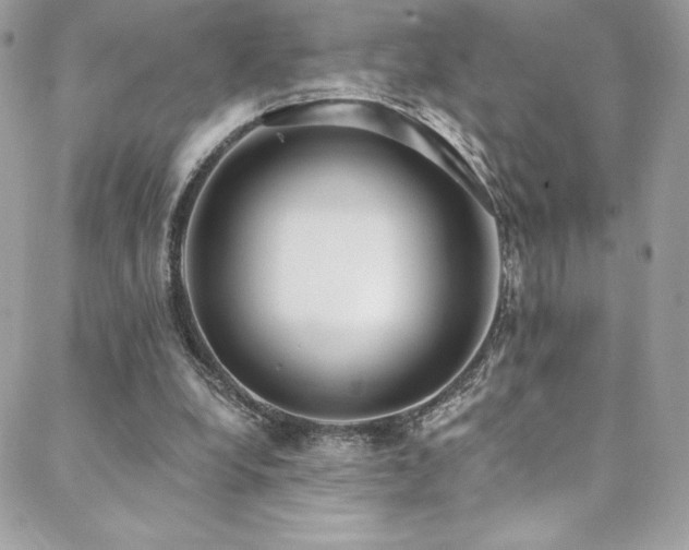 X0000088840248200706071427