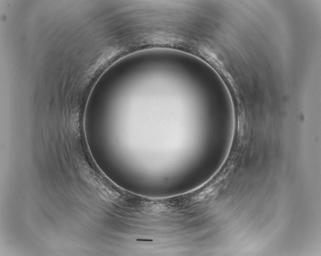 X0000088840249200706071427