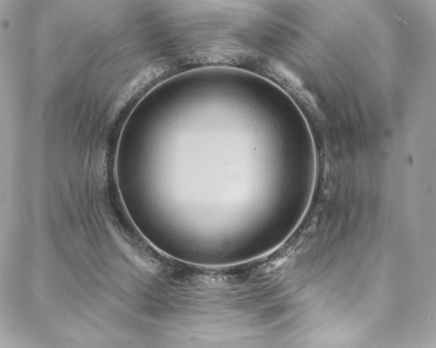 X0000088840250200706071427