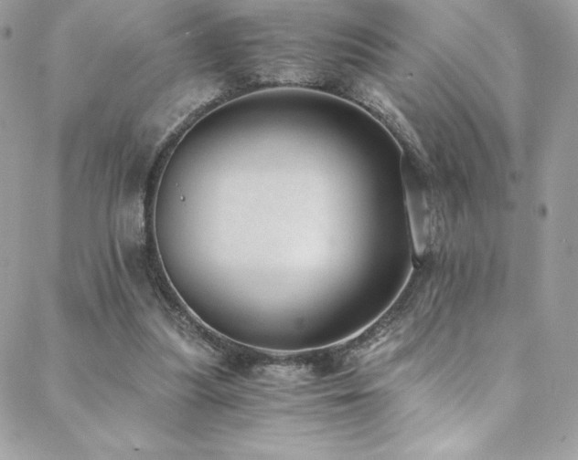 X0000088840251200706071427