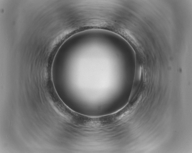 X0000088840252200706071427