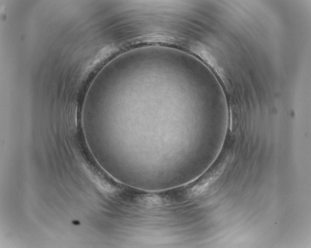 X0000088840253200706071427