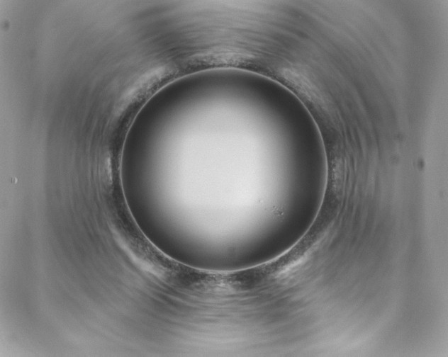 X0000088840254200706071427