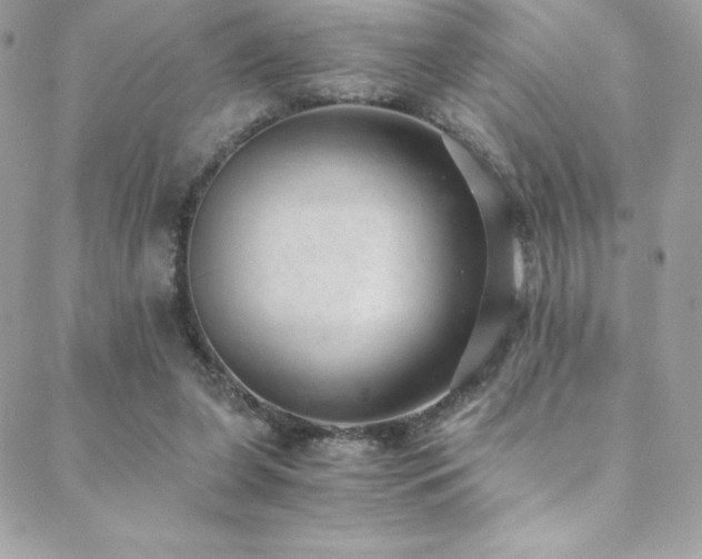 X0000088840255200706071427