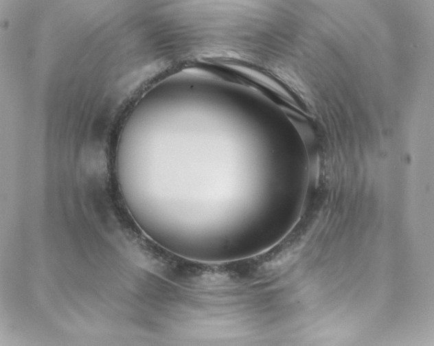 X0000088840256200706071427