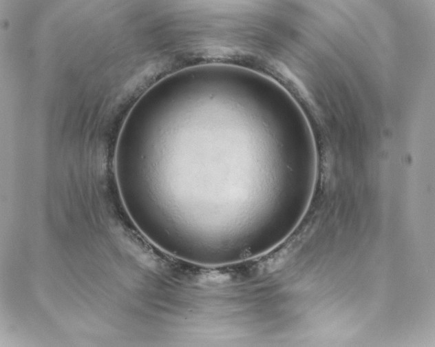 X0000088840257200706071427