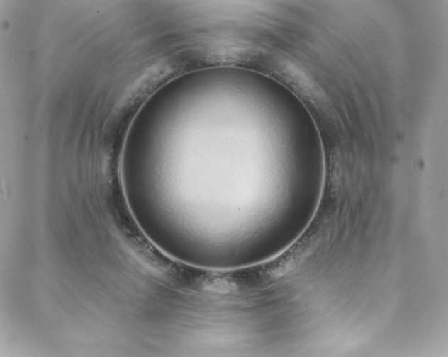 X0000088840258200706071427