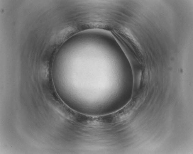 X0000088840259200706071427