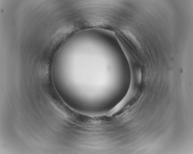 X0000088840260200706071427