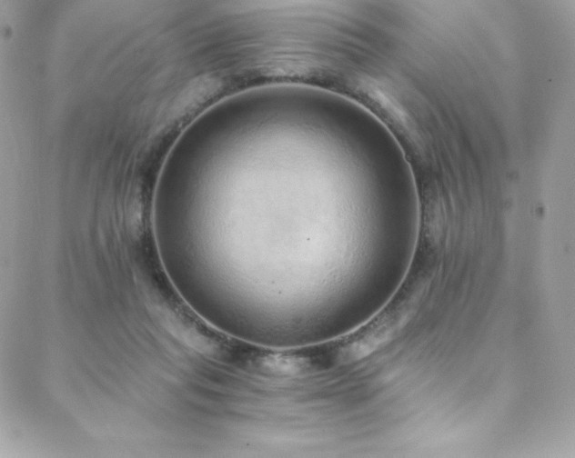 X0000088840261200706071427