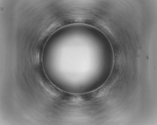 X0000088840262200706071427