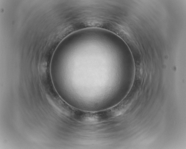 X0000088840263200706071427