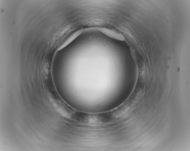 X0000088840264200706071427