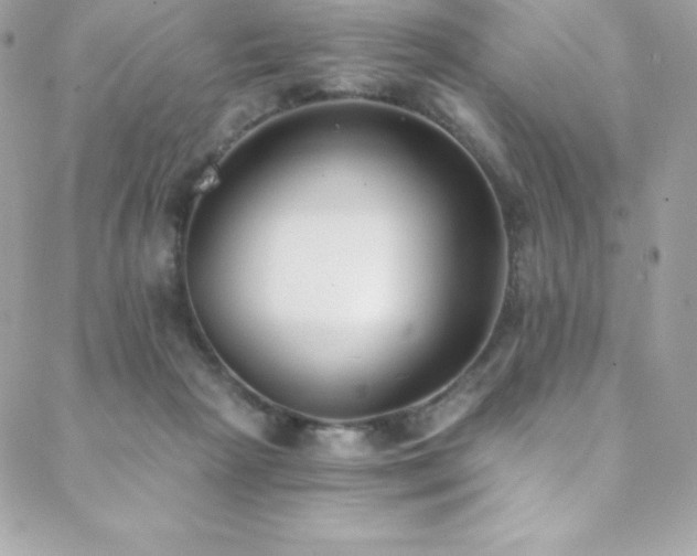 X0000088840265200706071427