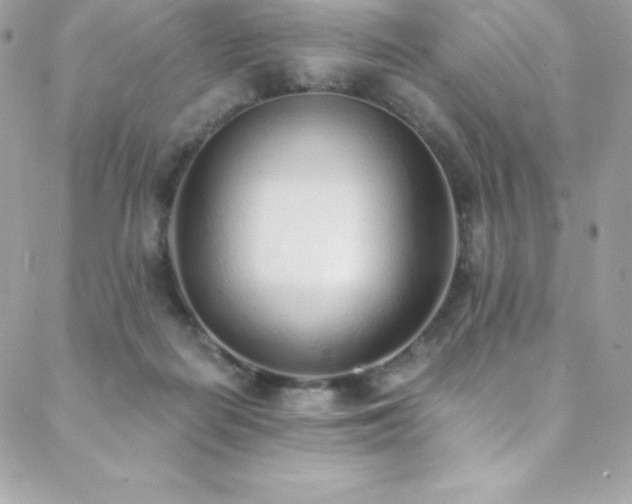 X0000088840266200706071427