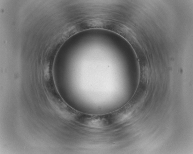 X0000088840267200706071427