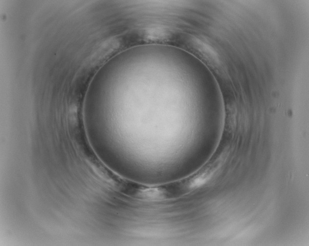 X0000088840269200706071427