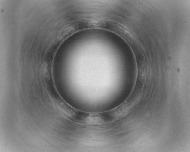 X0000088840270200706071427