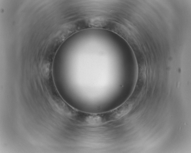 X0000088840271200706071427