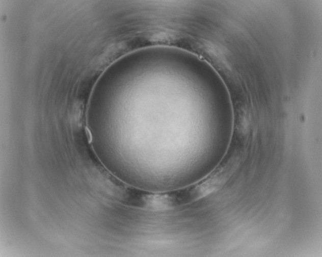 X0000088840273200706071427