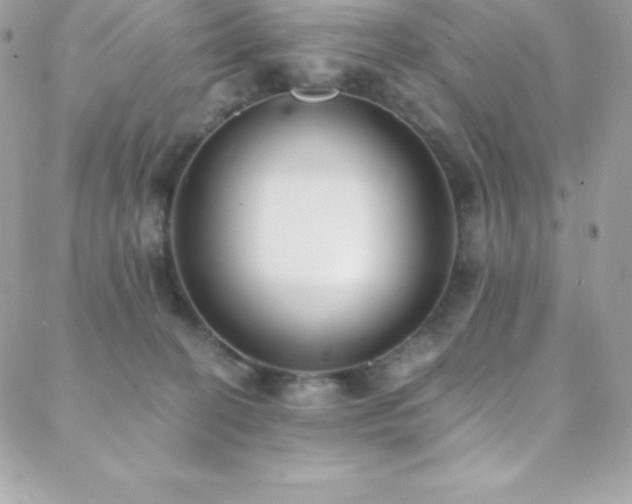 X0000088840274200706071427