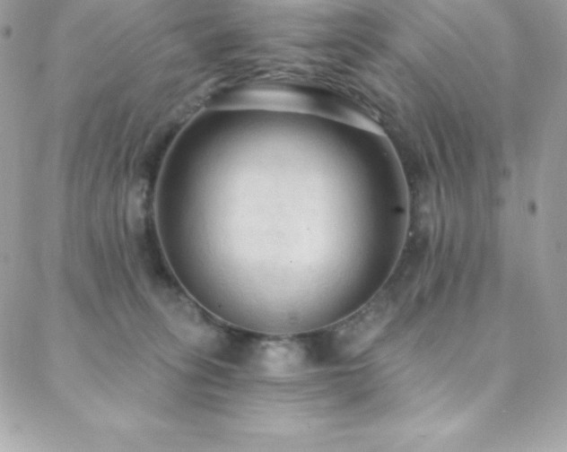 X0000088840275200706071427