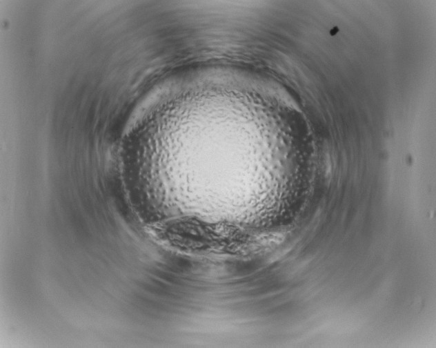 X0000088840276200706071427