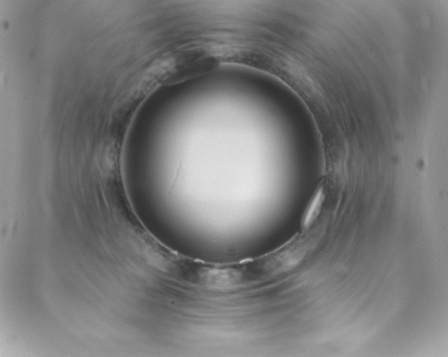 X0000088840277200706071427