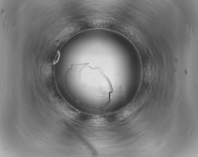 X0000088840278200706071427