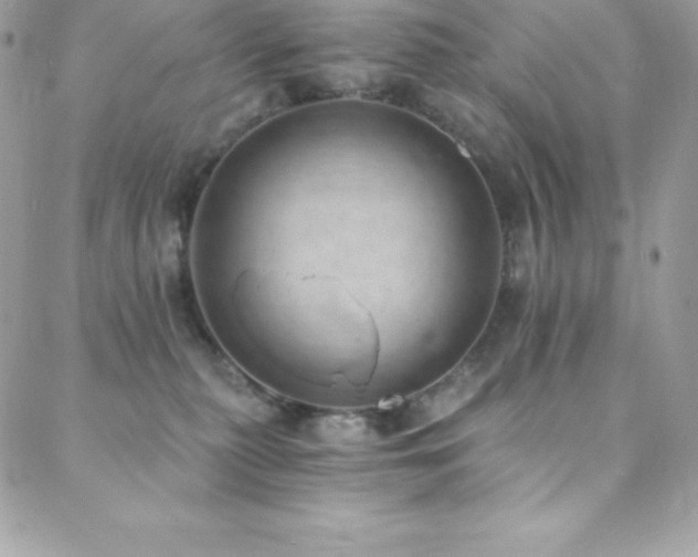 X0000088840279200706071427