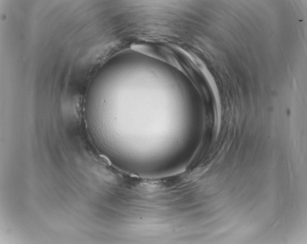 X0000088840280200706071427